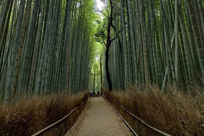 kyoto-private-tour-with-national-licensed-guide