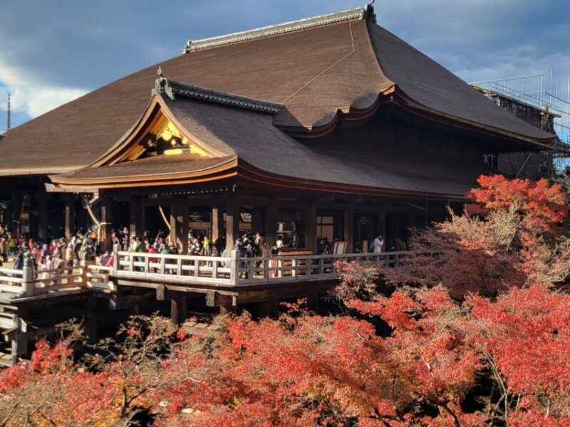 kyoto-private-walking-tour-with-government-certified-guide