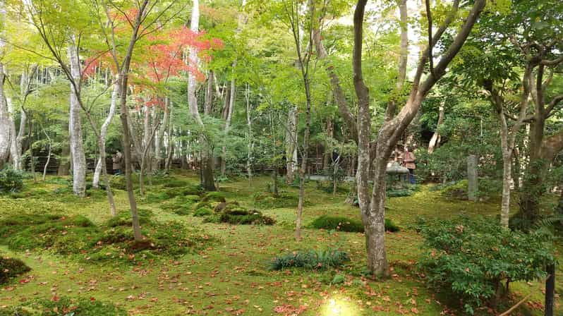 kyoto-quiet-arashiyama-and-sagano-temples-guided-tour