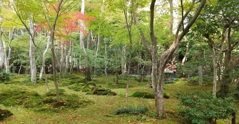 kyoto-quiet-arashiyama-and-sagano-temples-guided-tour