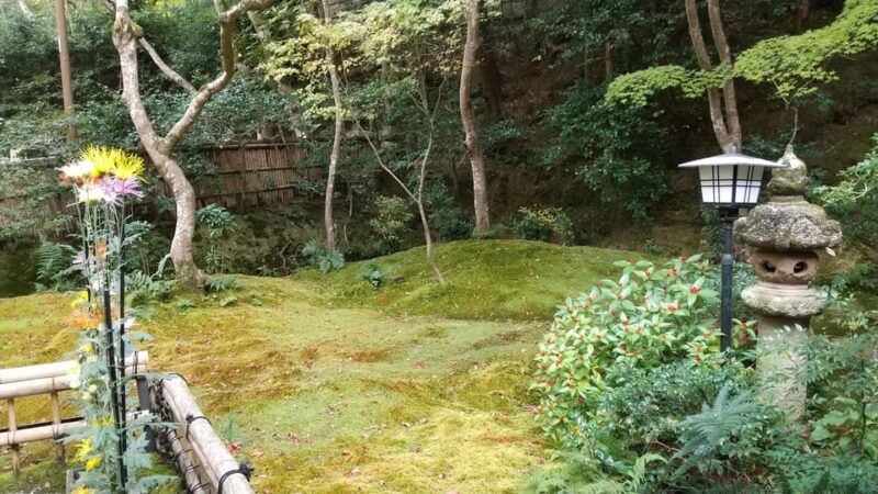 kyoto-quiet-arashiyama-and-sagano-temples-guided-tour