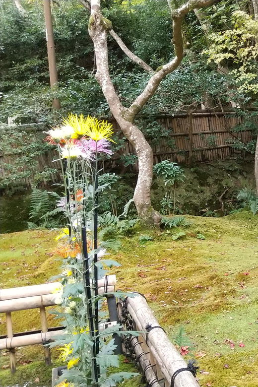 kyoto-quiet-arashiyama-and-sagano-temples-guided-tour