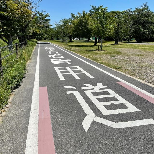 kyoto-rent-a-touring-bike-in-kyoto-and-return-in-osaka