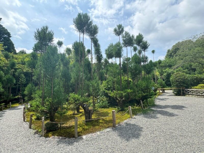 kyoto-ryoan-ji-greatest-zen-garden-guided-tour-in-80-min