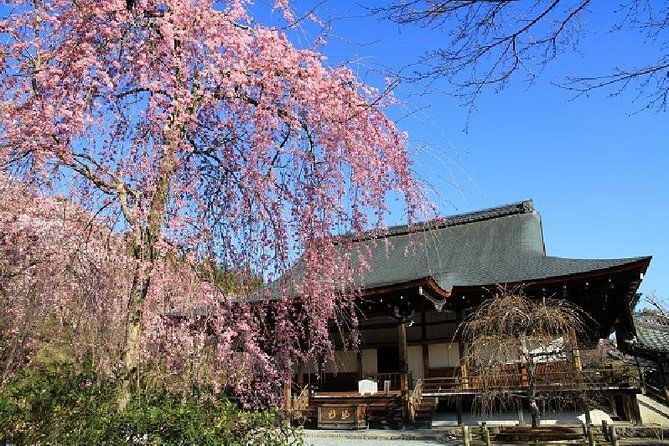 kyoto-sagano-bamboo-grove-arashiyama-walking-tour