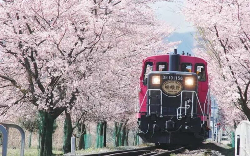 Kyoto: Sagano Romantic Train and Hozugawa River Cruise - Key Points