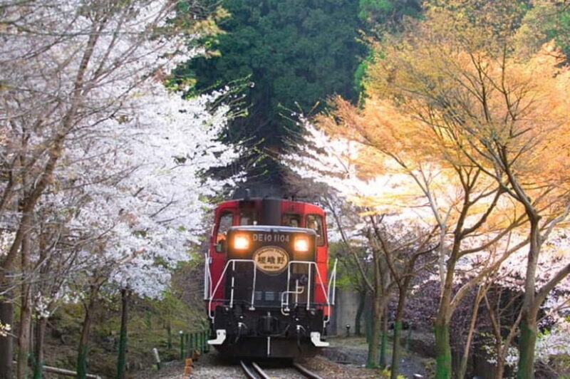 Kyoto: Sagano Romantic Train and Hozugawa River Cruise - An Authentic Journey through Kyoto’s Landscape