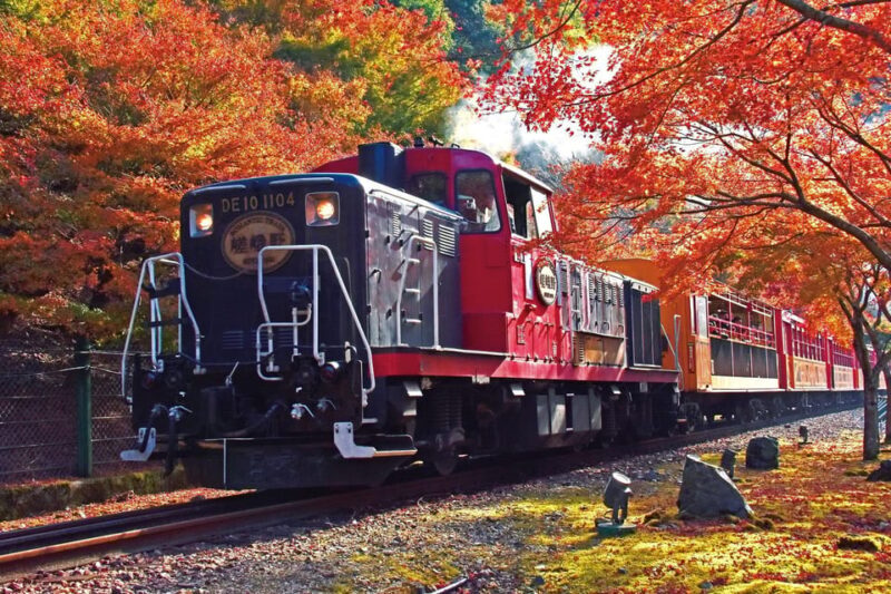 Kyoto Sagano Romantic Train in Arashiyama Bus Tour - Key Points