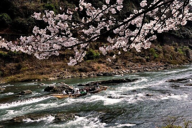 kyoto-sagano-romantic-train-with-cherry-blossoms-bus-tour