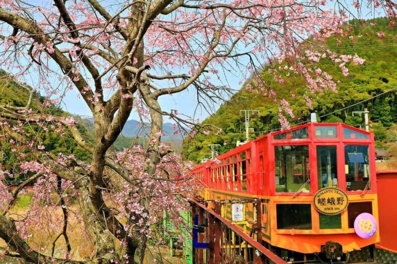 Kyoto: Sagano Scenic Railway, River Cruise, & Sake Tour - Key Points