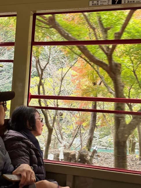 Kyoto: Sagano Scenic Railway, River Cruise, & Sake Tour - The Itinerary in Detail