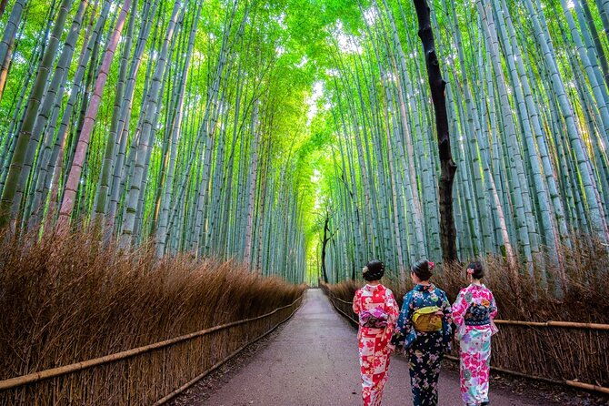 kyoto-sansen-in-arashiyama-train-1-day-tour-from-osaka-or-kyoto