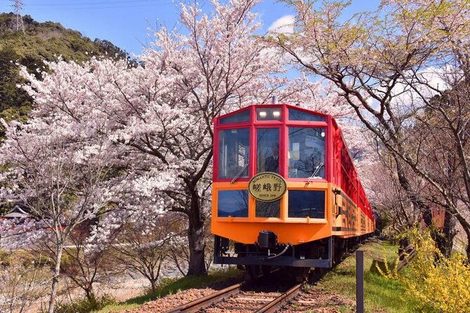 kyoto-sansen-in-arashiyama-train-1-day-tour-from-osaka-or-kyoto