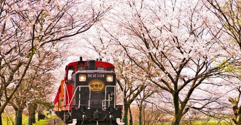 kyoto-sanzen-in-temple-arashiyamas-scenic-unesco-day-tour