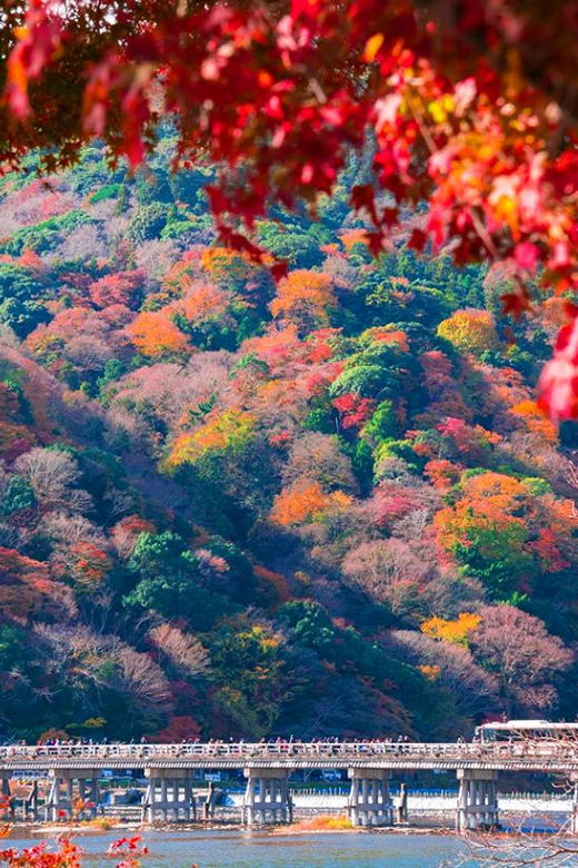 kyoto-sanzen-in-temple-arashiyamas-scenic-unesco-day-tour