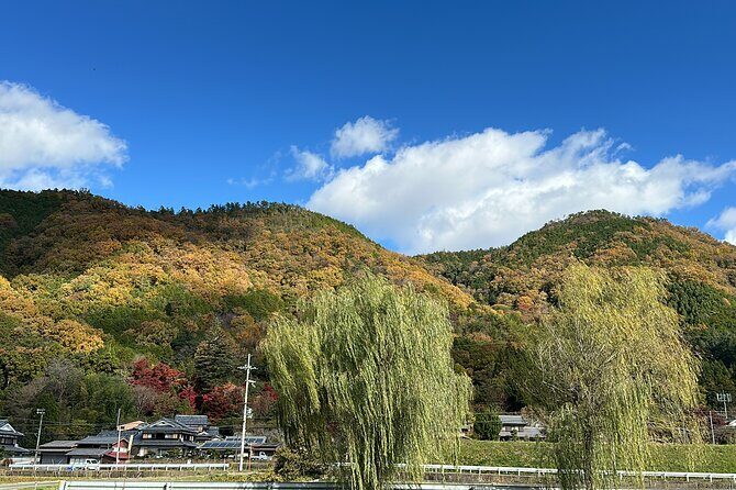 Kyoto Satoyama Cycling with Lunch and English guide - FAQs