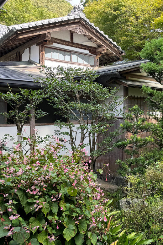 Kyoto: Scenic Day Trip to Ohara and Sanzen-in Temple - Final Thoughts  