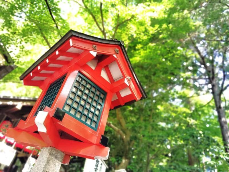 Kyoto: Serene Morning Walk in Arashiyama Bamboo Grove - A brief overview of this peaceful experience