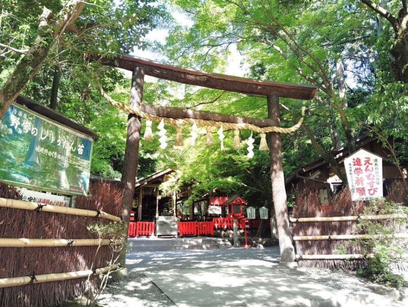 Kyoto: Serene Morning Walk in Arashiyama Bamboo Grove - Detailed itinerary breakdown