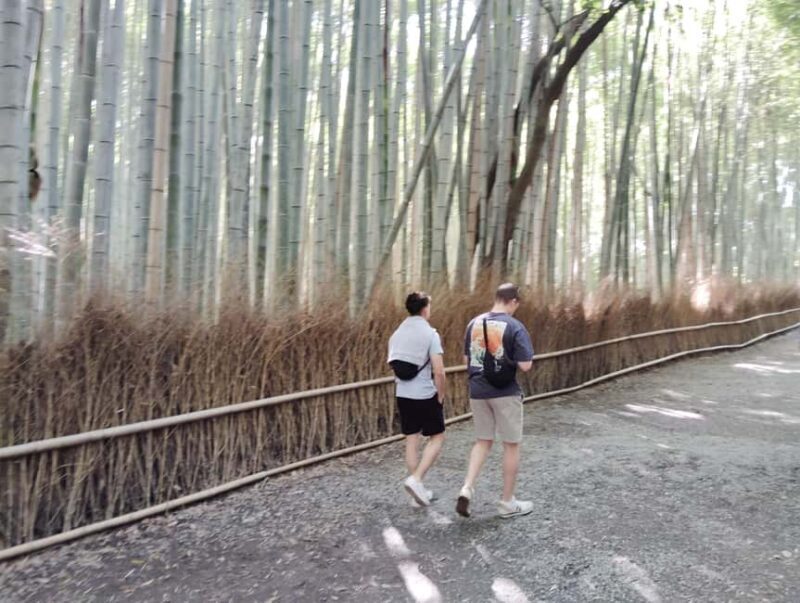 Kyoto: Serene Morning Walk in Arashiyama Bamboo Grove - Why this tour offers good value