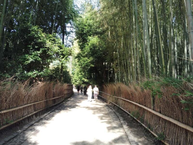 Kyoto: Serene Morning Walk in Arashiyama Bamboo Grove - FAQ