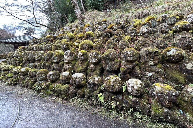 kyoto-shore-excursion-from-osaka-with-japanese-guide
