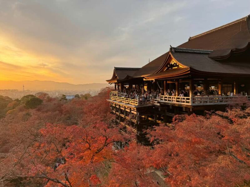 Kyoto: Signature Day Tour and Tea Ceremony with Your Vehicle - Who Would Enjoy This Tour?