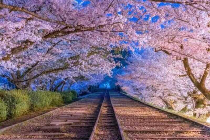 KYOTO: Sophisticated Harmony Journey: 4 Calming Scenes - Frequently Asked Questions (FAQs)