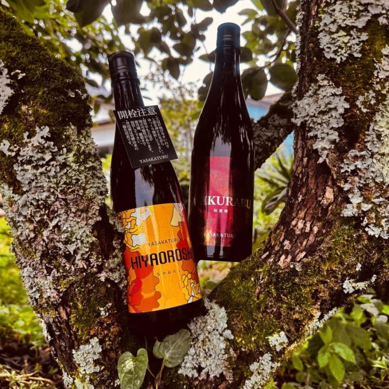 Kyoto: Takeno Sake Brewery Tour with Tasting - Guided Tour of the Brewery