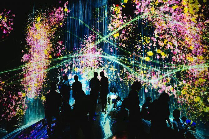 Kyoto TeamLab Biovortex & Kyoto Walking Tour - Key Points