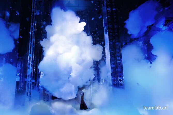 Kyoto TeamLab Biovortex & Kyoto Walking Tour - The Sum Up