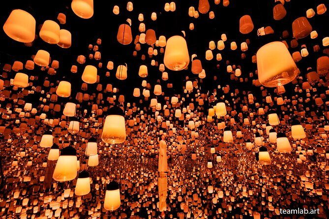 Kyoto TeamLab Biovortex & Kyoto Walking Tour - FAQ