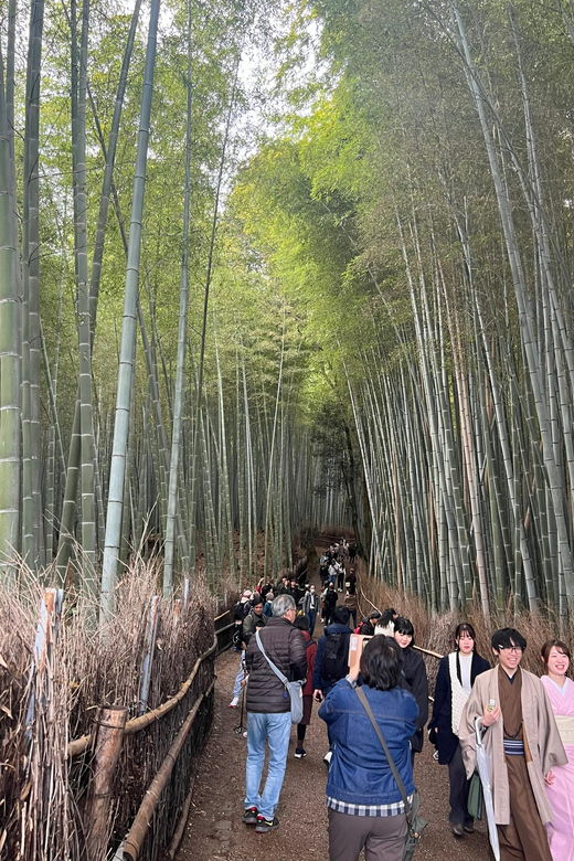 kyoto-the-heart-of-arashiyama-bamboo-forests-and-sacred-temples