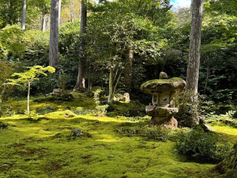 Kyoto: The Hidden Sanctuary of Sanzen-in Temple - Practicalities and Value