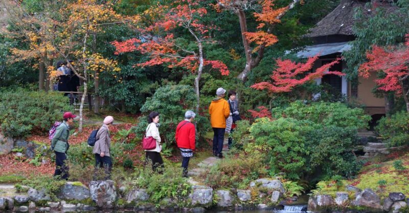 Kyoto to Nara: Private Day Trip with a Local - The Transportation & Logistics