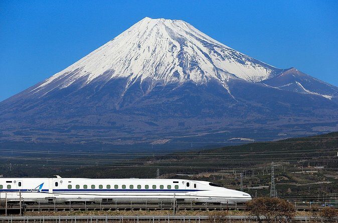 Kyoto to Tokyo Bullet Train Trip with Tokyo Subway 24 hour Ticket - Practical Tips for Making the Most of This Trip