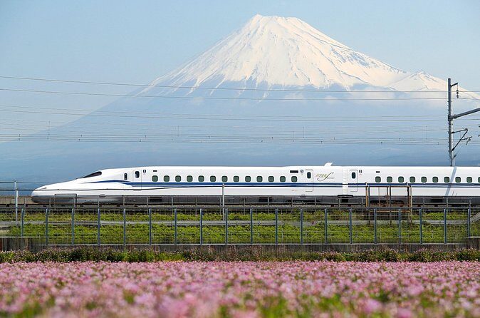Kyoto to Tokyo Bullet Train Trip with Tokyo Subway 24 hour Ticket - Who Should Consider This Tour?