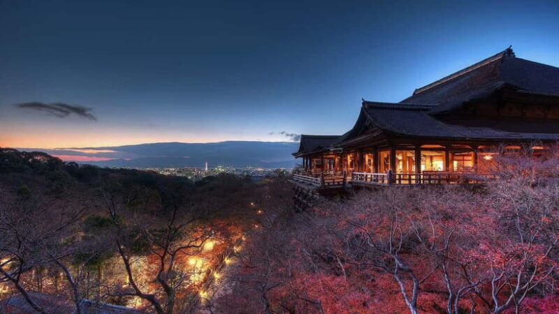 Kyoto Top Highlights Full-Day Trip from Osaka - Who Will Love This Tour?