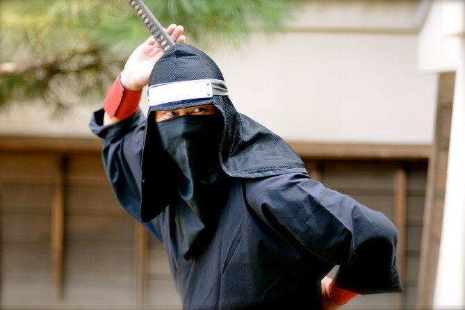 kyoto-top-must-see-golden-pavilion-and-bamboo-forest-half-day-private-tour