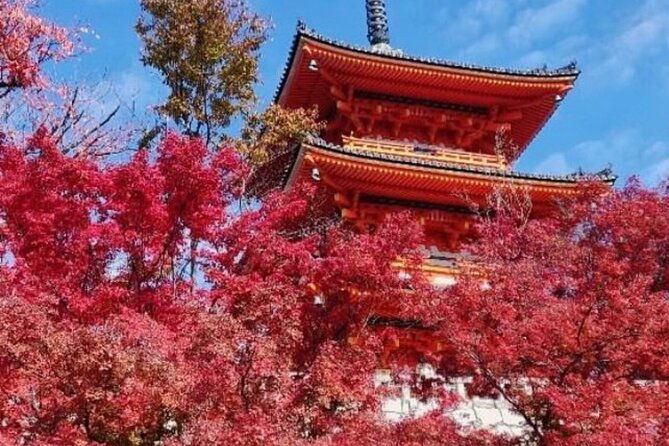 kyoto-tour-12-hours-private-nagoya-pick-up-available