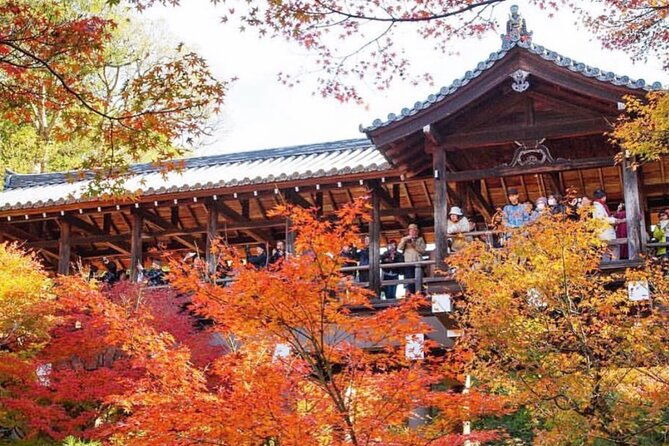 kyoto-tour-12-hours-private-nagoya-pick-up-available
