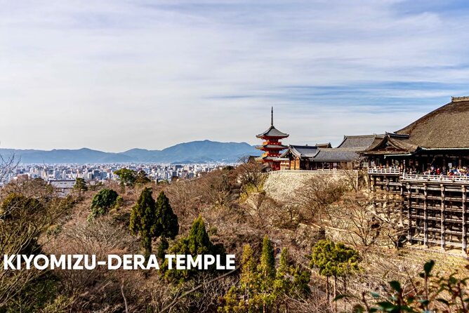 kyoto-tour-12-hours-private-nagoya-pick-up-available