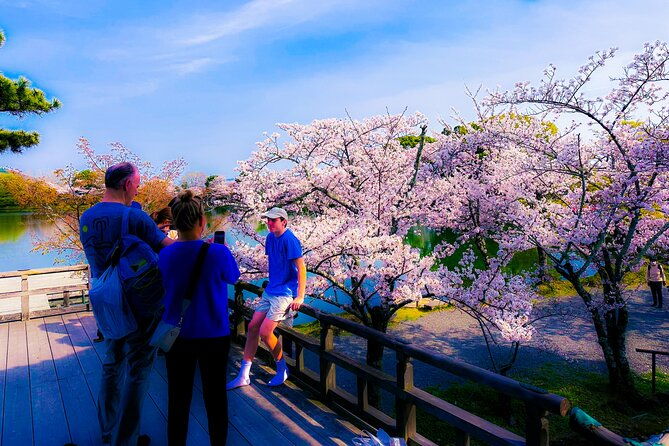 kyoto-tour-by-private-van-private-bamboos-fushimi-red-gates