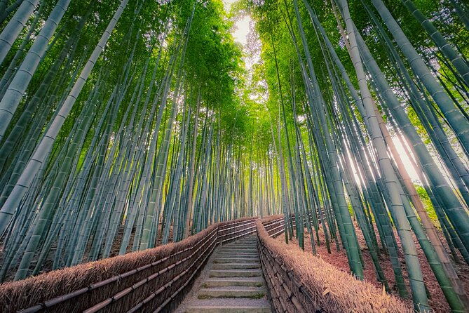 kyoto-tour-by-private-van-private-bamboos-fushimi-red-gates