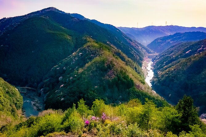 kyoto-tour-by-private-van-private-bamboos-fushimi-red-gates