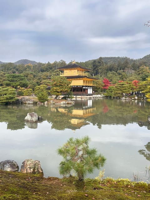 kyoto-tour-in-spanish-fushimi-inari-arashiyama-and-golden-pavilion-2