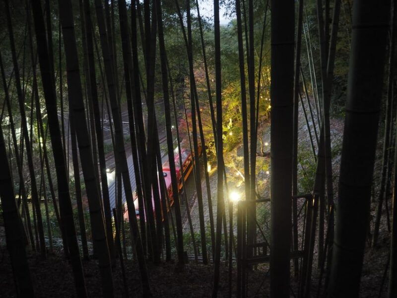 kyoto-tour-in-spanish-fushimi-inari-arashiyama-and-golden-pavilion