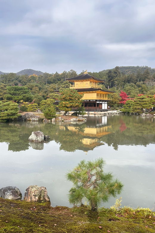 kyoto-tour-in-spanish-fushimi-inari-arashiyama-and-golden-pavilion