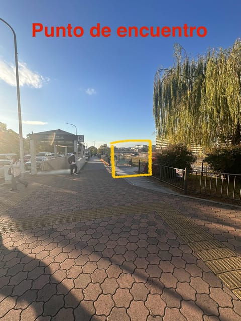 kyoto-tour-in-spanish-sanjusangendo-kiyomizudera-yasaka-ginkakuji