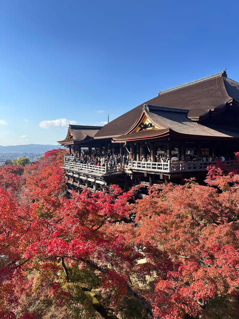 kyoto-tour-in-spanish-sanjusangendo-kiyomizudera-yasaka-ginkakuji